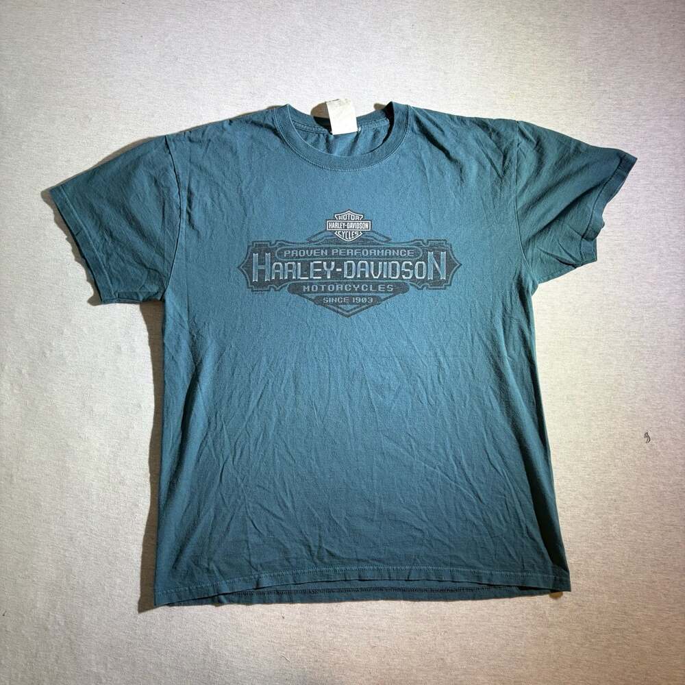 Vintage Harley-Davidson Horny Toad Temple, Texas Graphic T-Shirt